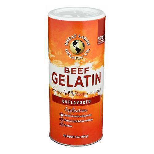 Great Lakes Gelatin Beef Gelatin Unflavored, 1 lb (Pack of 1) on Productcaster.