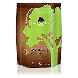 Rainforest Foods, Organic Wheatgrass Powder, 200g on Productcaster.