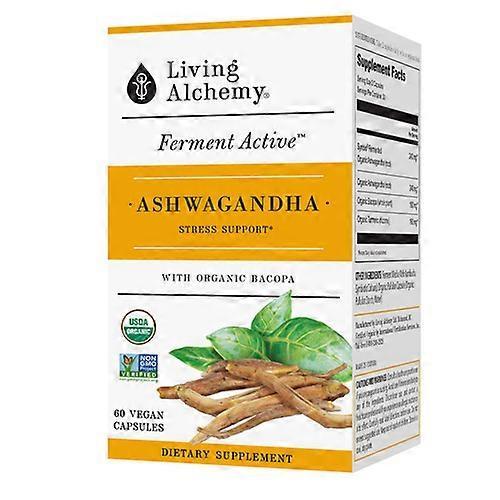 Living Alchemy Živá alchýmia fermentovaná ashwagandha z celého jedla, 60 uzáverov (balenie po 1) on Productcaster.