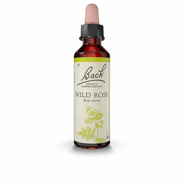 Complément alimentaire Bach Wild Rose 20 ml on Productcaster.