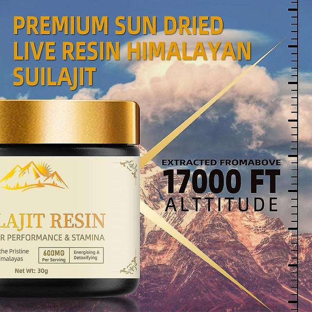 Himalayan Shilajit Resin, Pure 100% Himalayan Shilajit, Organic Shilajit Supplement, Trace Minerals Complex For Energy, Strength & Immunity 2Pcs on Productcaster.