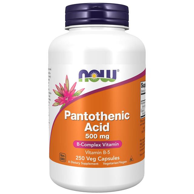 NOW Foods Pantothenic Acid (Vitamin B-5) 500 mg 250 Capsules on Productcaster.