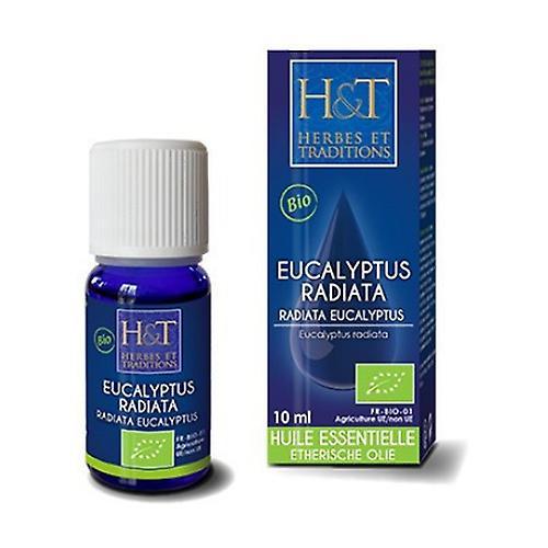 Herbes & Traditions Radiated Eucalyptus Essential Oil (Eucalyptus radiata) Organic 10 ml of essential oil (Eucalyptus) on Productcaster.