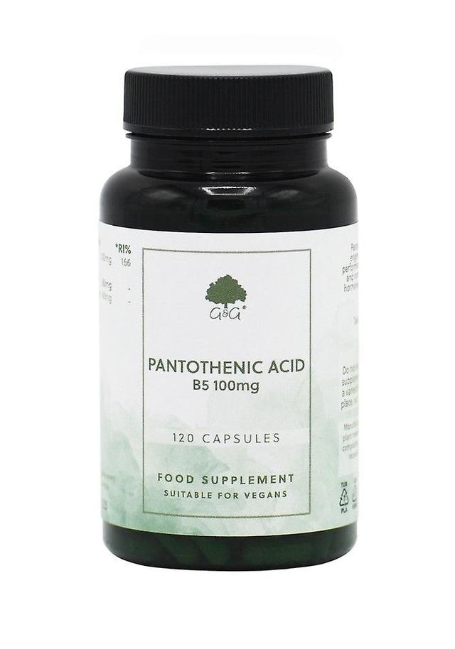 G&g vitamins b5 pantothenic acid 100mg 120's on Productcaster.