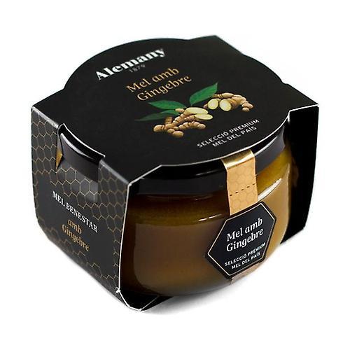 Alemany Honey with Ginger 150 g on Productcaster.