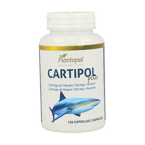 Planta Pol Cartipol Plus 120 kapsúl po 750 mg on Productcaster.