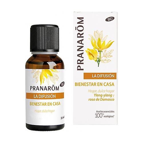 Pranarôm Synergy of Diffusion Wellbeing at home 30 ml of essential oil (Cinnamon - Orange - Vanilla - Ylang-Ylang - Patchouli) on Productcaster.