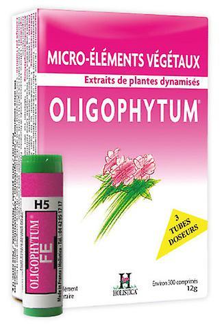 Holística Oligophytum H14 Coa Copper Gold silver 100 gr on Productcaster.