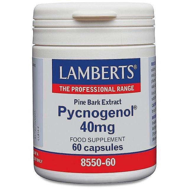 Lamberts Pycnogenol Capsules 60 (8550-60) on Productcaster.