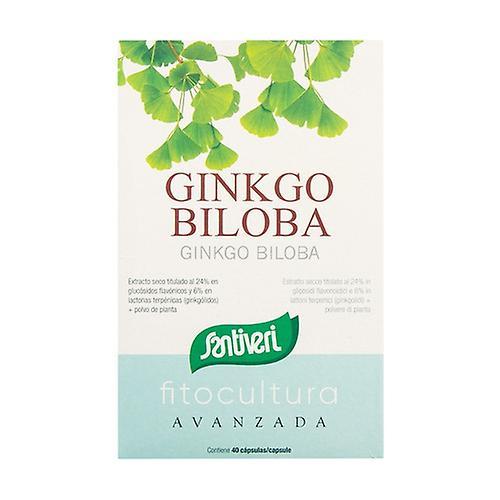 Santiveri Ginkgo biloba 40 capsules on Productcaster.