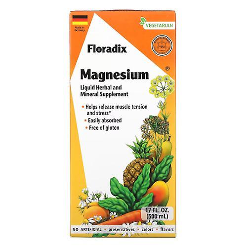 Gaia Herbs Floradix Magnesium Liquid, 17 oz (1er Packung) on Productcaster.