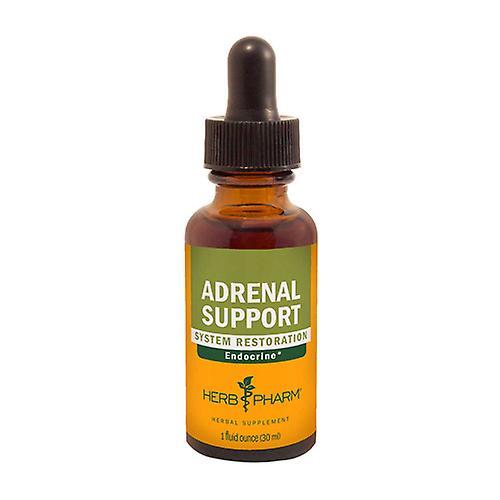 Herb Pharm Adrenal Support Tonic, 1 Oz (Pack of 6) on Productcaster.