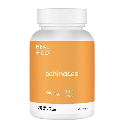 Heal + Co. Heal + Co. Echinacea, 500mg, 120 VegCaps on Productcaster.