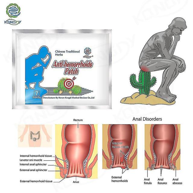 christina show Hemorrhoid Relieve Patch 21pcs Herb Plaster Treatment Bleeding Anus Internal/external Hemorrhoid Pai on Productcaster.