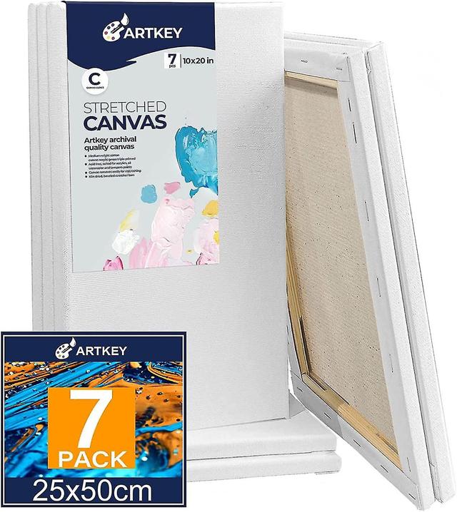 Bran Stretched Canvases For Painting 10x20 Inch 7-pack, 10 Oz Triple Primed Acid-free 100% Cotton Blank C on Productcaster.