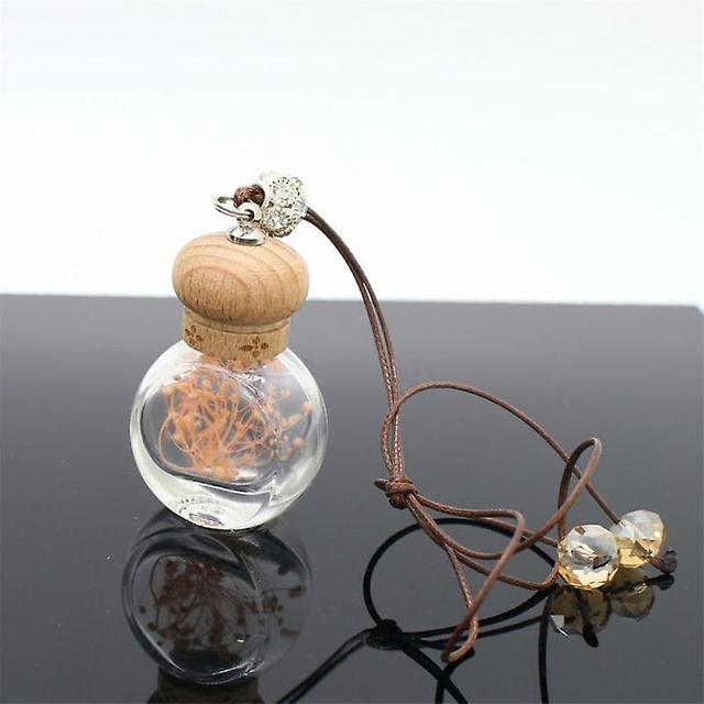 Car Perfume Bottle Perfume Pendant Air Freshener Hanging Glass Bottle Preserved Flower Auto Ornament Diffuser Ornaments Empty on Productcaster.