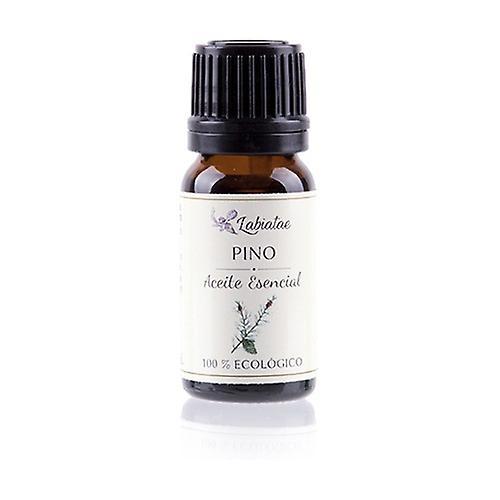 Labiatae Organic pine essential oil 12 ml of essential oil (Scented woods) on Productcaster.