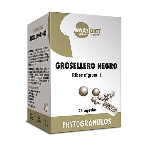 Waydiet Currant Phytogranulos 45 capsules of 478mg on Productcaster.