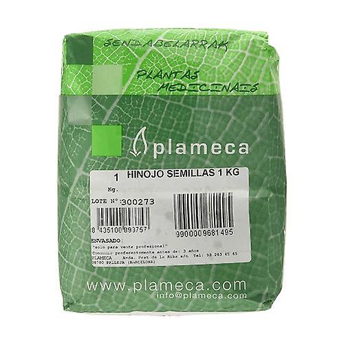 Plameca Fennel Herb Seed 1 kg on Productcaster.