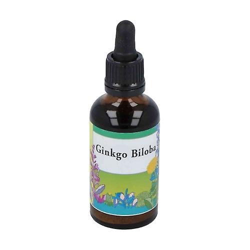 Naturlife Extrakt z ginkgo biloba 50ml on Productcaster.