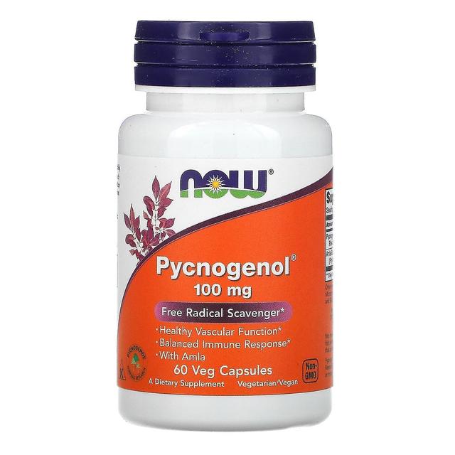 NOW Foods NOW Alimenti, Pycnogenol, 100 mg, 60 Veg Capsule on Productcaster.