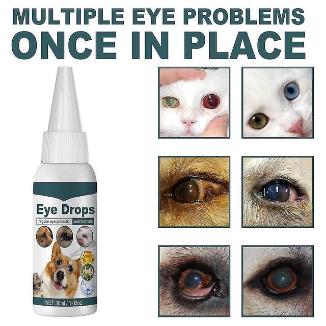 Haobuy Pet Eye Drops Clean Tear Marks Eye Droppings Remove Tear Stains For Cats And Dogs Eye Care For Acute Or Seasonal Dry Eyes 1pcs on Productcaster.