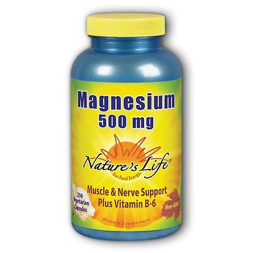 Nature's Life Magnesium,500 mg,250 caps (Pack of 2) on Productcaster.