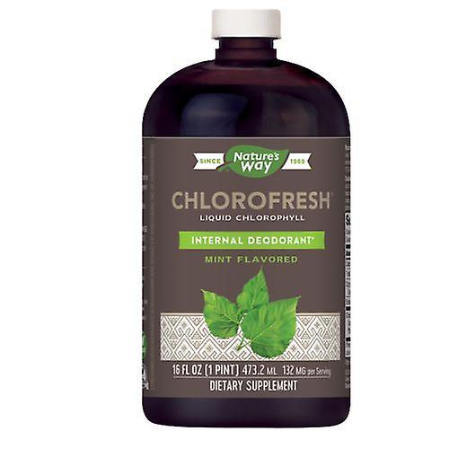 Nature's Way Chlorofresh, 16 Oz Liquid Mint, (Case of 6) (Pack of 6) on Productcaster.