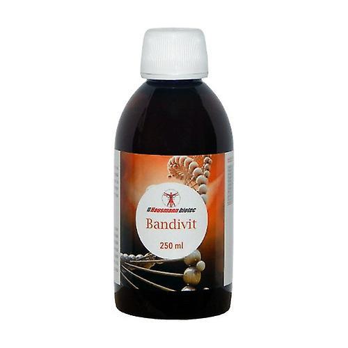 Hausmann Bandivitový sirup 250 g on Productcaster.