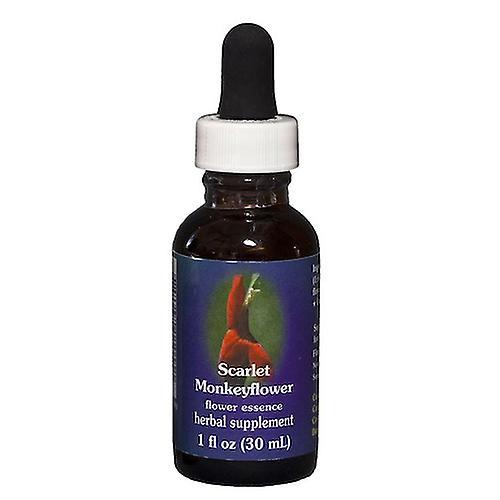 Flower Essence Services Scarlet Monkeyflower Dropper, 1 oz (Paquet de 1) on Productcaster.