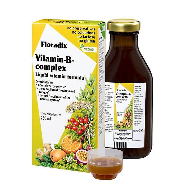 Floradix Vitamin B-kompleks, 250ml on Productcaster.