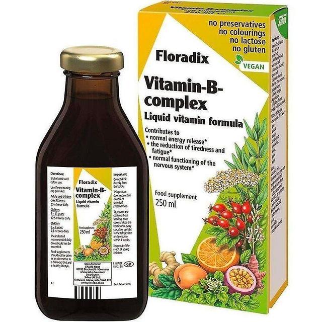 Floradix Vitamin B-Complex Liquid 250ml on Productcaster.