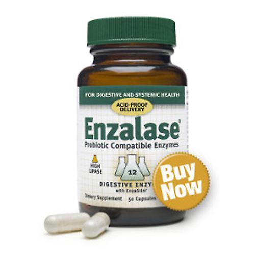 Master Supplements Enzalase Digestive Enzyme Supplement, 50 Caps (Pack of 1) on Productcaster.