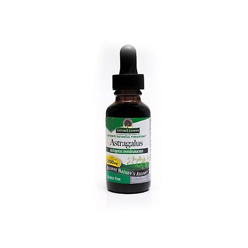 Nature's Answer Astragalus, Extract 1 FL Oz (Pack of 2) on Productcaster.