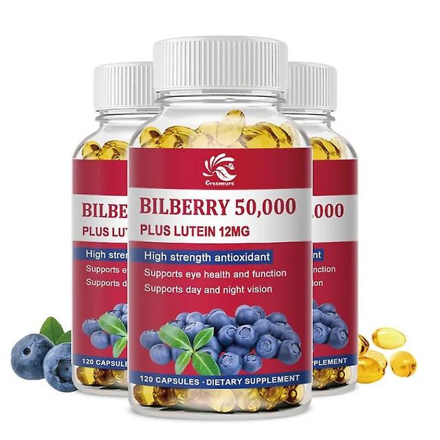 Visgaler Bilberry Extract Supplement - Vegan Capsule Now with 150mg Organic Bilberry Leaf & 45mg Vitamin C - 60/120 Capsules 3 Bottle 120 pills on Productcaster.