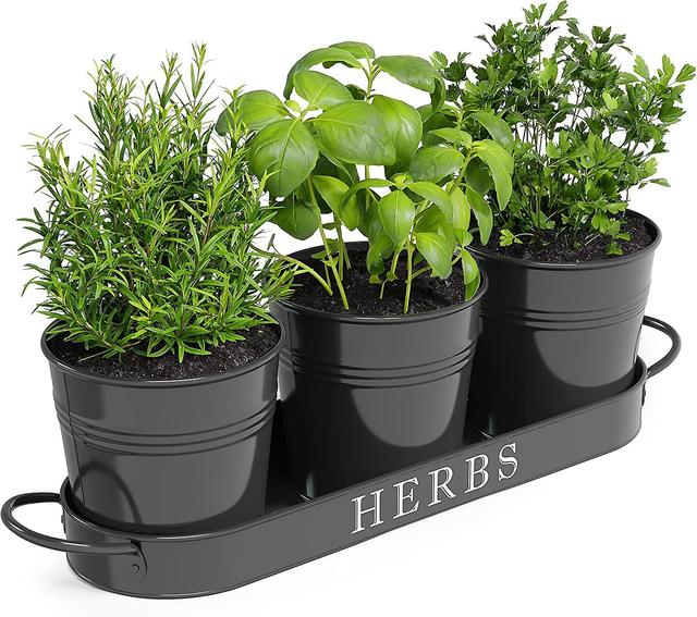 Hgbd-barnyard Designs Farmhouse Herb Garden Planter Indoor Planter Set With Tray Or Outdoor Apartment Window Planter Box, Windowsill Planter Box, Indo on Productcaster.