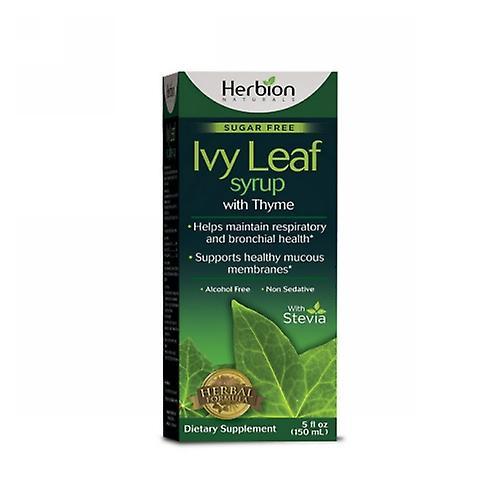 Xarope de tosse de herbion ivy leaf com tomilho, 5 Oz (Pacote de 4) on Productcaster.