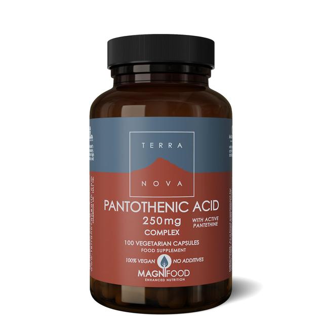 Terra Nova Terranova pantothenic acid 250mg with pantethine complex 100's on Productcaster.