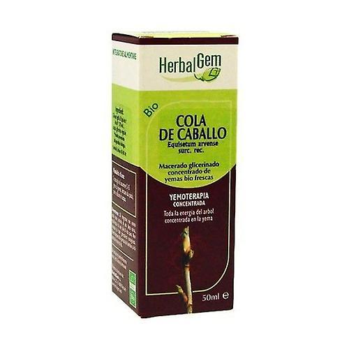 Herbalgem Horse tail 50 ml on Productcaster.