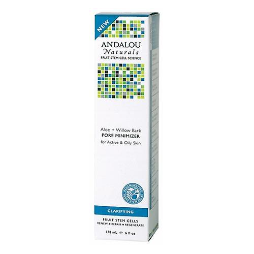 Andalou Naturals Pore Minimizer, Aloe Plus Willow Bark, 6 oz (Pack of 1) on Productcaster.