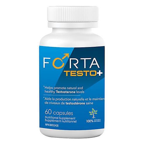 Forta Forta Testo Plus ,60 Caps on Productcaster.