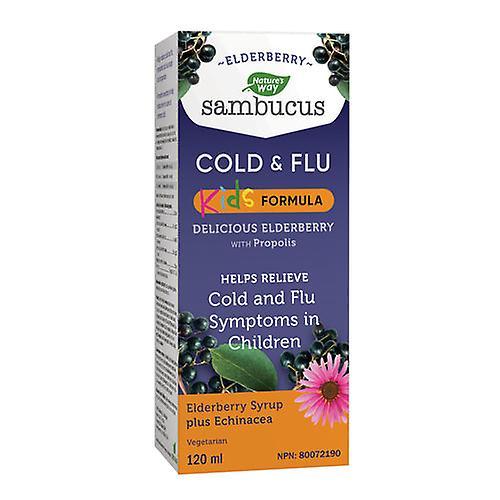 Nature s Way Nature's Way Sambucus Elderberry Kids Cold & Flu Syrup, 120 ml on Productcaster.