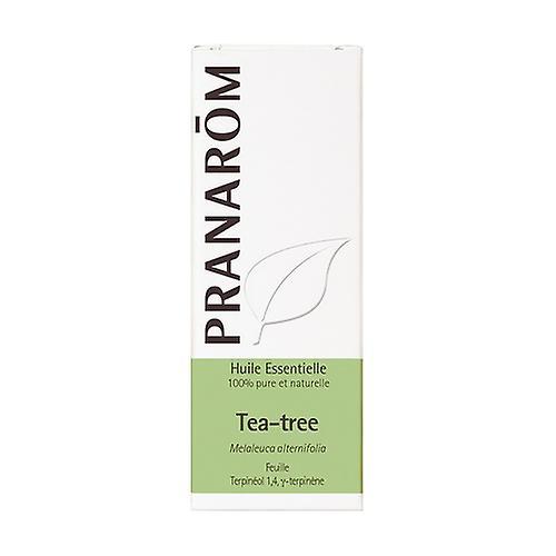 Pranarôm Tea tree essential oil (Melaleuca alternifolia) 10 ml of essential oil (Tea tree) on Productcaster.