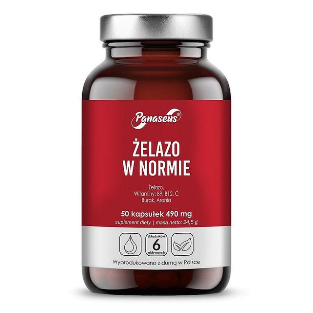 Panaseus Żelazo W Normie (50 capsules) BI8640 on Productcaster.