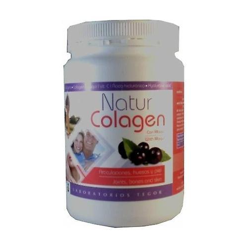 Tegor Naturkolagén 300 g on Productcaster.