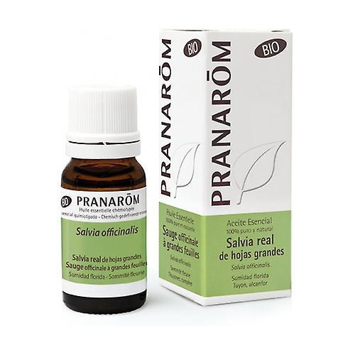 Pranarôm Organic Big Leaf Royal Sage Essential Oil 10 ml on Productcaster.