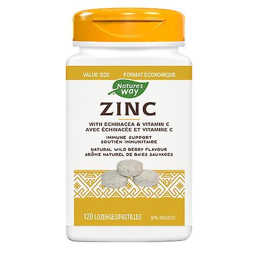 Nature s Way Nature's Way Zink mit Echinacea & Vitamin C, 120 Lutschtabletten on Productcaster.