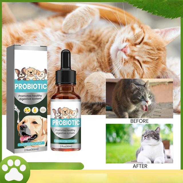 Zgwelt Pet probiotiske dråber, Premium probiotika med fordøjelsesenzymer til hunde katte, præbiotika supplement, lindre mavebesvær 60ML-2PCS on Productcaster.