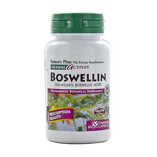 Nature's Plus Boswellia 60 kapsler af 300mg on Productcaster.