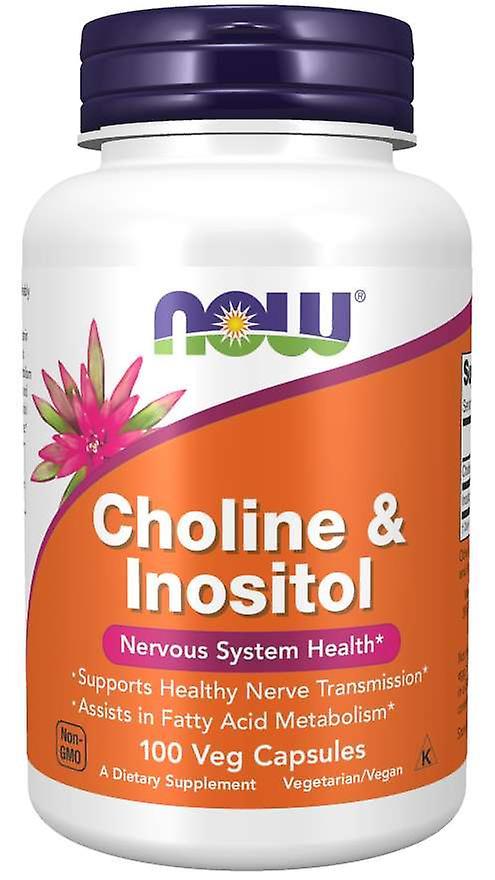 Now Foods Choline / Inositol 250 / 250Mg 100 Capsules on Productcaster.